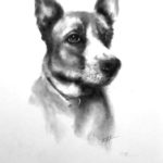 Bo Kelpie