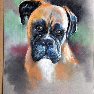 Single Pet Pastel Portrait