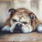 bulldog-laying-down