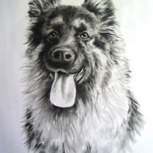 Custom Pet Graphite Portraits